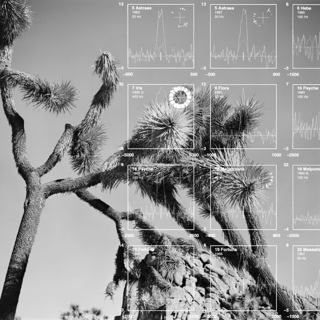 black and white photos of trees overlaid with scientific data in white text.