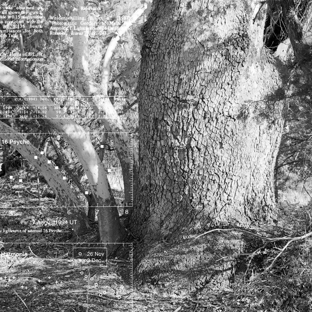 black and white photos of a tree trunk overlaid with scientific data in white text.