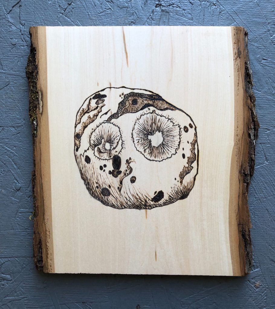 This image shows a vertical slice of wood with an image of the Psyche asteroid made using woodburning.